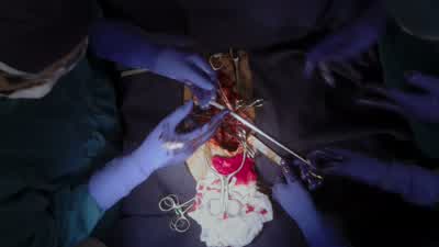 DR. REZNICK: So, what'’d you get? - The Good Doctor