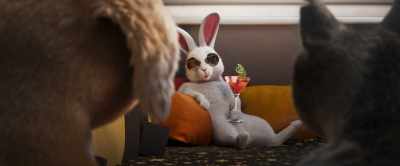 So, what's up with you cats? - Gracie & Pedro: Pets to the Rescue