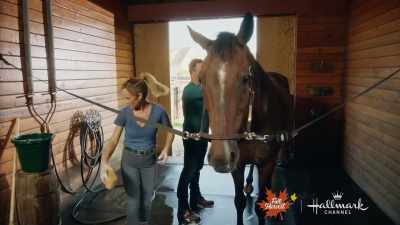 So why do
you think he's doing this? - Taking the Reins