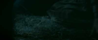 So why don't you turn around, - Hellboy: The Crooked Man