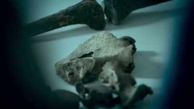 So why haven't archaeologists
known this all along? - Viking Warrior Women