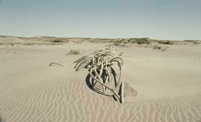 So with this, - Geographies of Solitude