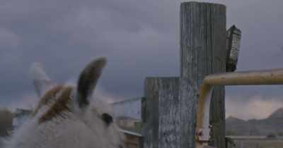 So with this training,
desensitization is a big part of it. - Stars in the Sky: A Hunting Story
