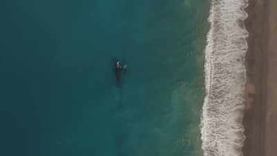 ...so they won't attract
the attention of predators. - Planet Earth III