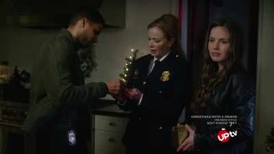 So would you put this
beautiful reindeer into evidence? - Christmas Catch