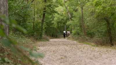 So, yeah, you look like
a professional riding. - Love Trip: Paris
