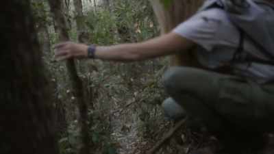 So, if you are
moving through it, - Expedition Bigfoot