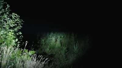 So as you can see,
this is just a huge clearing. - Expedition Bigfoot
