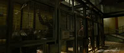 So you? - Rise of the Planet of the Apes