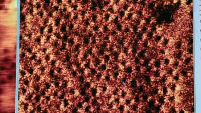 So, if you could get
the bacteria to mutate - Secrets of Size: Atoms to Supergalaxies