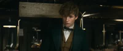 So you got your wand permit? - Fantastic Beasts and Where to Find Them