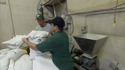 SO, YOU JUST WANT TO
CUT THAT. - Dirty Jobs