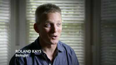 SO YOU NEVER KNOW WHAT KIND
OF CRAZY THINGS COULD BE GOING ON - Strange Evidence