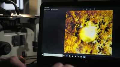 So when you put a rusticle
under the microscope, - Back to the Titanic