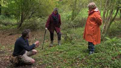 So, if you take the root out,
and dry it out, - Extraordinary Escapes with Sandi Toksvig