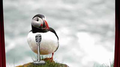 So if you think doing stand-up
is nerve-racking, - Absurd Planet