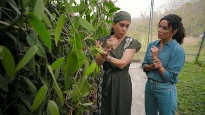 - So, if you want to pollinate, - Eva Longoria: Searching for Mexico