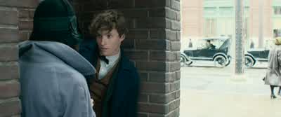 So you work for MACUSA. - Fantastic Beasts and Where to Find Them