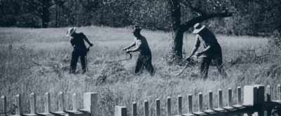 So if you're
a small family farmer, - Capital in the Twenty First Century