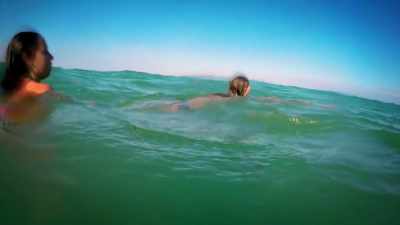 So, if you're coming to
Florida to catch some rays, - United States of Animals