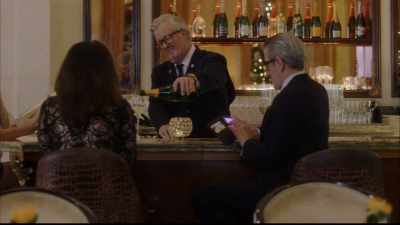 So, you're here to study
our grand lady? - Christmas at the Plaza