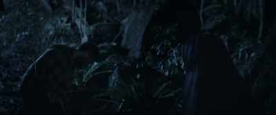 So that you're safe.
Keep the bugs out. - Jungle