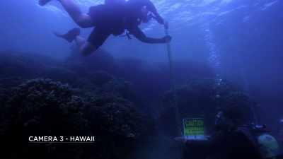So, if you're trying to get leverage
to put something into the ground, - Chasing Coral