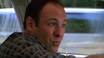 So you've never seen
Doc Cusamano - Wise Guy: David Chase and The Sopranos