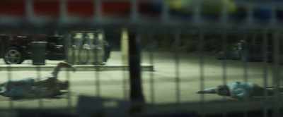 [ Sobbing ] - Night of the Hunted