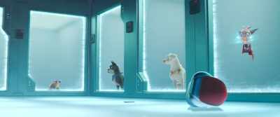 [SOBBING] - DC League of Super Pets