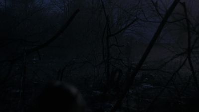 (sobbing) Somebody help me! - The X-Files