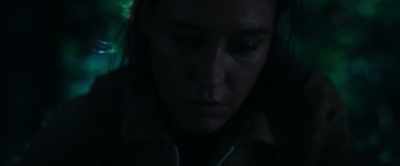 (sobs) - The Animal Kingdom
