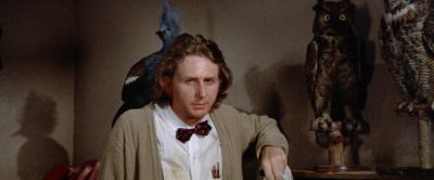 Social behavior - Brewster McCloud
