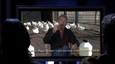 Sofia,you get a tenant's name
for this apartment? - CSI: Crime Scene Investigation