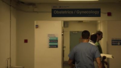 [soft acoustic music] - New Amsterdam