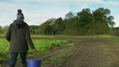 [soft chattering] - Tractor Ted