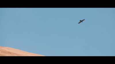 [soft dramatic music] - Fly