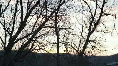 [soft dramatic music] - The Disappearance of Maura Murray