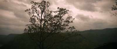 [soft foreboding music] - The Mothman Legacy
