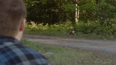 [soft moaning] - Twin Peaks