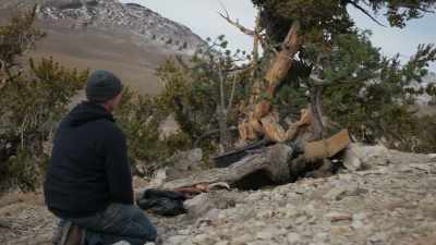 (soft music playing) - Trees and Other Entanglements