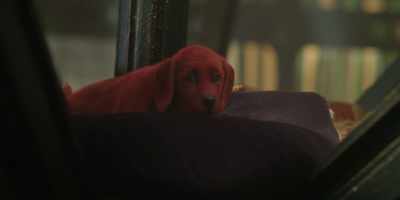[soft music playing] - Clifford the Big Red Dog
