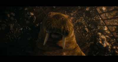 (SOFT MUSIC PLAYING) - Guardians of the Galaxy Vol. 3
