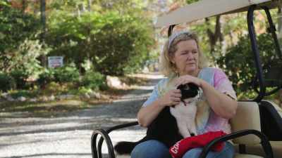 [soft music] - Shadow of a Wheel