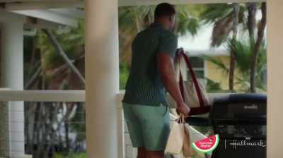 (soft mysterious music) - Caribbean Summer
