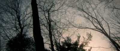 [soft ominous music]
[birds screeching] - The Mothman Legacy