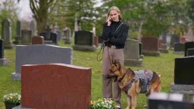 Soft tissue damage
is still painful. - Jazz Ramsey: A K-9 Mystery