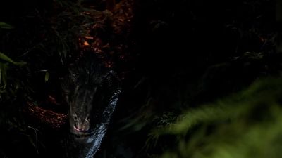 

[soft whine] - Marvel's Runaways