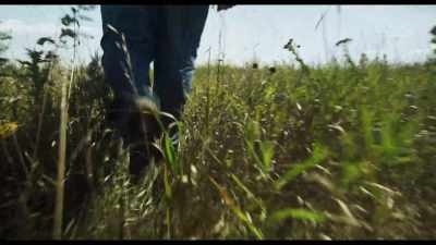 Soil that is not tilled stores more water, - Kiss the Ground