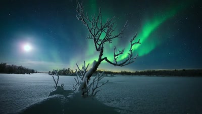 'Solar winds engulf our planet. - A Year on Planet Earth